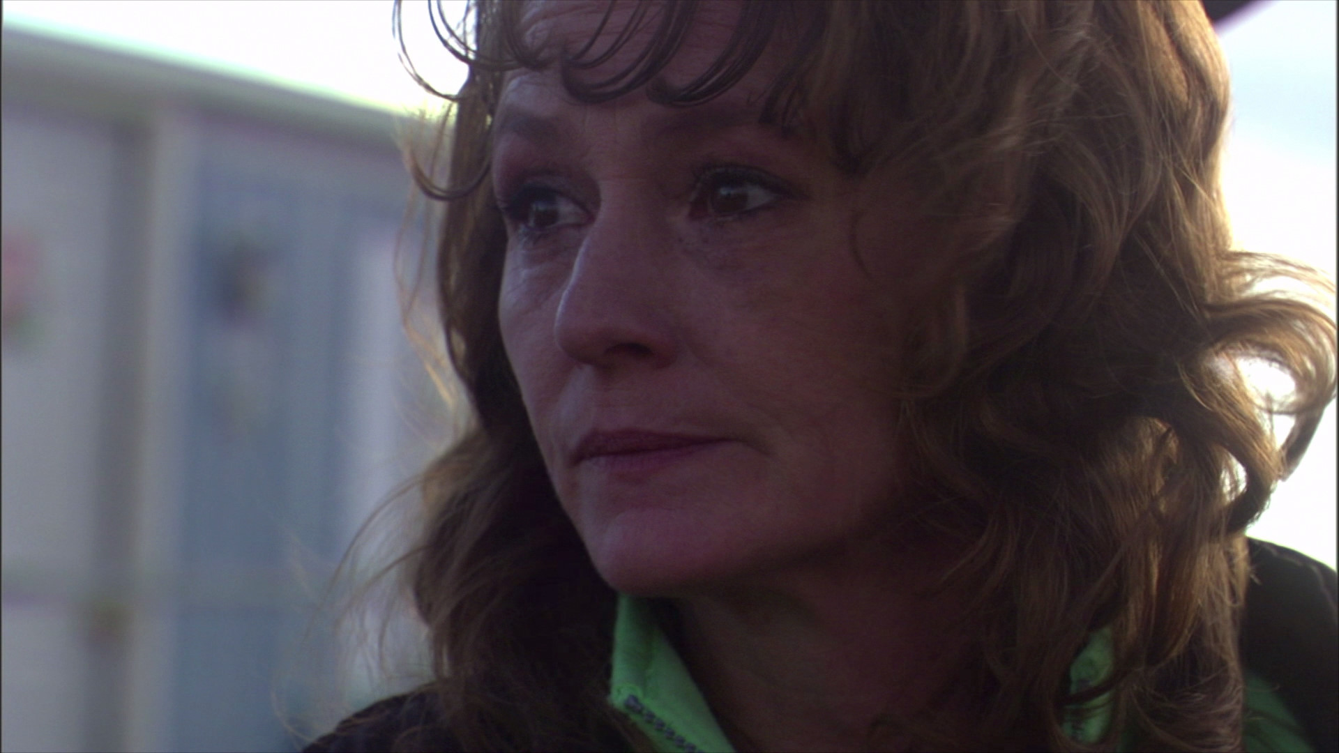 Frozen River Bluray Melissa Leo